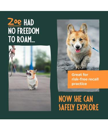 Strong Retractable Dog Lead 3m Long Extendable Dog Lead No-Tangle Dog Leash Dog Leads for Small Dogs/Medium Dogs Soft-Grip Anti-Slip Brake Anti-Twist Extending Dog Lead - Buy Online on SooperMarket.com