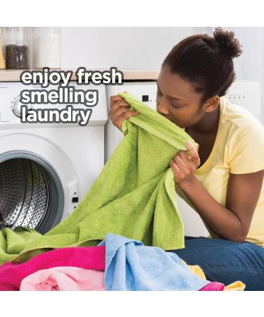 HOME VICTORY Outdoor Scented Dryer Sheets - 480 Count Fabric Softener Sheets - Reduces Wrinkles, Controls Static, Softens Fabric - Pack of 1 - Buy Online on SooperMarket.com