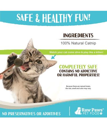 Raw Paws Catnip Lollipop (6-Pack) - Catnip Toys for Indoor Cats - Catnip Ball, Silvervine & Matatabi Stick for Cats - Buy Online on SooperMarket.com