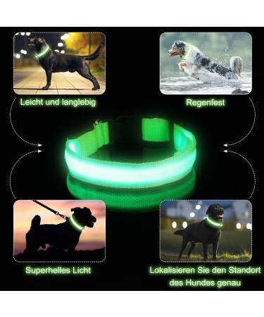 Jostift Luminous Elbe Rechargeable LED Dog Collar - Waterproof & Adjustable for Small/Medium Dogs - Super Bright with 3 Lighting Modes (Green) - Buy Online on SooperMarket.com