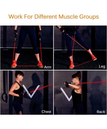 5pcs Resistance Bands Set with Handles | 150LBS Strength Training Tubes for Men and Women | Home Workout Equipment - Buy Online on SooperMarket.com