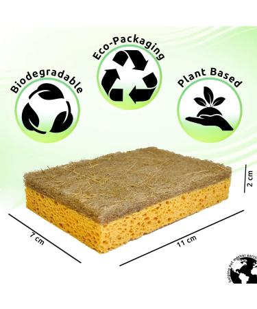 Natural Sponge 10 Pack - Eco-Friendly Kitchen Sponge | Biodegradable Plant-Based Cleaning Dish Sponge - Buy Online on SooperMarket.com