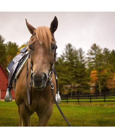 Tahoe Tack Double Layer Nylon Headstall with Reins - Pink Full Size - Buy Online on SooperMarket.com