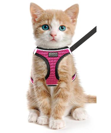 LOOK ANDES CARE CARRIATION with a leash dishes Breakable for cat adjustable breast harness Cat harness reflective cat leash with dishes for cats puppies XS (chest: 26-30cm) pink