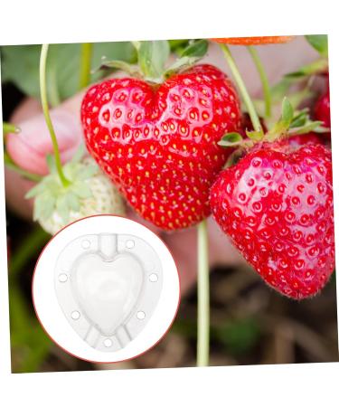 Kisangel 5pcs Fruit Shaping Vegetables Cucumber Fruit Shaper Cherry Tomatoes Stereotypes - Buy Online on SooperMarket.com