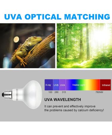 Adiwo Basking Spot Lamp 2 Pack 100W Reptile Heat Bulb Tortoise Heat Lamp Natural Light Basking Bulb Light Heat Lamp for Reptiles Amphibian Chicks Puppies Heating Use (White) - Buy Online on SooperMarket.com