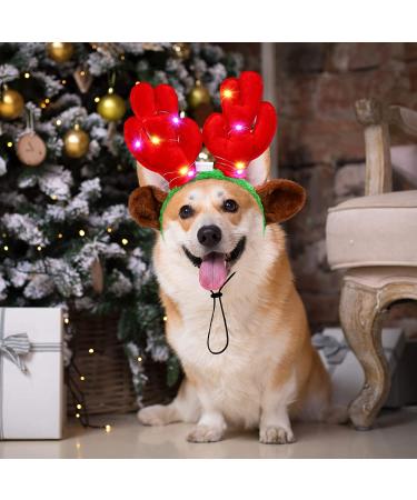Pedgot 3 Pieces Light up Pet Christmas Headbands LED Pet Xmas Reindeer Antler Headbands for Christmas Holiday Supplies Accessory - Buy Online on SooperMarket.com