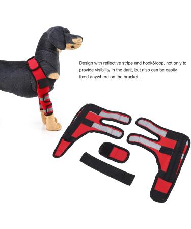 Dog Front Leg Protector Protector Wrist Guard Pet Knee Pads Reflective Stripe for Ligament Injuries Sprains for Loss of Stability(#1 M) - Buy Online on SooperMarket.com