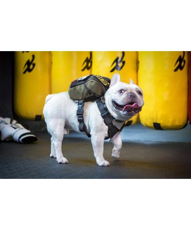 Buy Oneigris Eureka Backpack for Small Dogs - Green Feces Bag Dispenser Ideal for Hiking - L 14 x W 6 x H 18 cm - Buy Online on SooperMarket.com