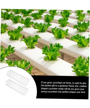 Milisten 6 Pcs Square Cucumber Molds Vegetables Fruit Avocado Tool Cucumber Shaping Mold Garden Tools Gourd - Buy Online on SooperMarket.com