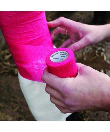COBOX Pet Vet Wrap Cohesive Bandage - 12 Rolls of Self-Adherent First Aid Sports Wrap (10cm x 4.5m) - Green Ideal for Pets & Sports Injuries - Buy Online on SooperMarket.com