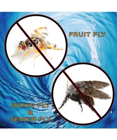Fruit Fly & Drain Fly Killer - Commercial Drain Gel Treatment - 1 Gallon (128 Ounces) - Buy Online on SooperMarket.com