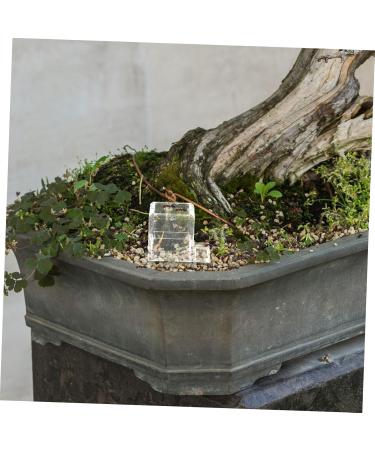 HAPINARY 3pcs Mini Liquid Feeder Ants Water Feeding Clear Ants Feeder Plastic Insect Feeder - Buy Online on SooperMarket.com