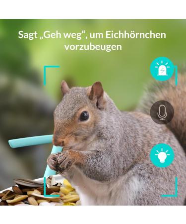 Netvue Bird Feed Donor & Camera - AI-Powered Bird Feeder with Species Detection | Bird House & Feed Stations for Wild Birds - Buy Online on SooperMarket.com