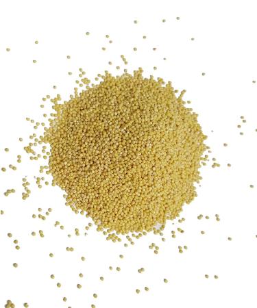 USA Grown Organic Millet Whole Grain Seeds non GMO Hulled Gluten Free Bulk Raw Organic Millet 10 Pound (Pack of 1)