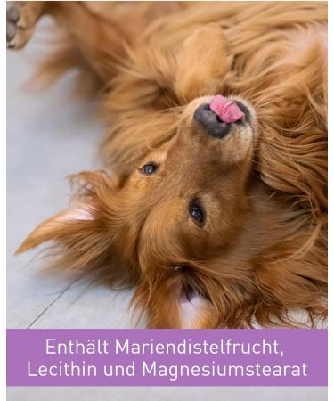 Lega Phyton 200 - Liver Support Tablets for Dogs & Cats | Silymarin Supplement | 24 Tablets - International Shipping Available - Buy Online on SooperMarket.com
