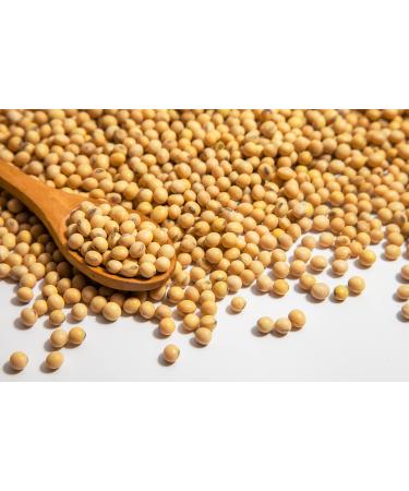 Mynatura Organic Soybeans - 1000g Untreated Dried Soybeans | Natural High-Quality Legumes for Healthy Living - Buy Online on SooperMarket.com