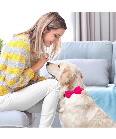 JpGdn 10pcs Small Dogs Collar Attachment Bows Ties for Puppies Cats Birthday Party Adjustable Bowties Sliding Bows Neckties Grooming Accessories Costumes Wedding 10pcs dog collar - Buy Online on SooperMarket.com