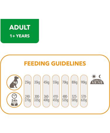 IAMS Complete Dry Dog Food for Adult 1+ Large Breeds with Lamb 12 kg Lamb 12 kg (Pack of 1) - Buy Online on SooperMarket.com