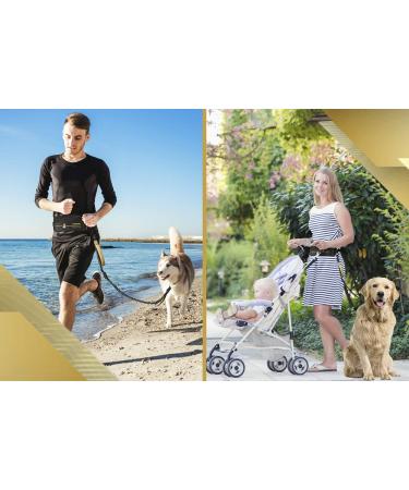 Premium 2-in-1 Jogging Leash & Normal Dog Leash for Medium & Large Dogs | Double Handle & Belly Belt for Jogging Hiking & Walking - Buy Online on SooperMarket.com