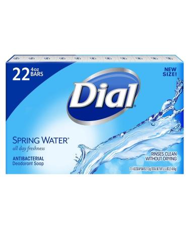 Dial Antibacterial Deodorant Soap Spring Water (4.0 oz 22 ct.)