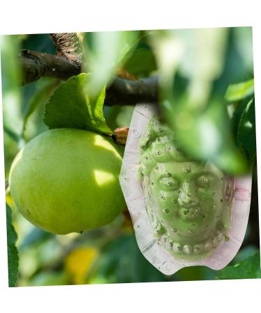 BCOATH Forming Vegetable Tool Clear Gardener Ginseng for Decorative Watermelon Transparent - Buy Online on SooperMarket.com