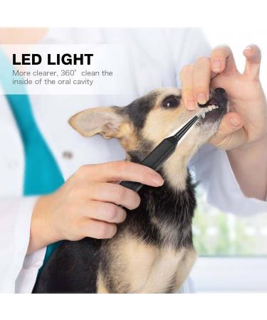 Dog Teeth Cleaning Tools with LED Light 3 Modes Dog Plaque Tartar Remover for Teeth Detachable Teeth Cleaning Kit for Dogs Cats Grey - Buy Online on SooperMarket.com