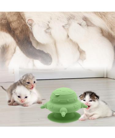MoYouno Newborn Pet Feeder Set - 4 Teats Puppy Bottles & Silicone Milk Bowl 150 ML - Ideal for Nursing Puppy, Kitten, Squirrels - Green - Buy Online on SooperMarket.com