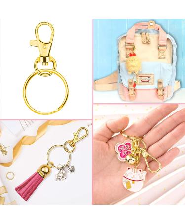 Paxcoo 100pcs Gold Keychain Rings Kit - 50 Key Chain Hooks + 50 Key Rings for Resin Craft & Acrylic Blanks - Bulk DIY Keychain Making Supplies - Buy Online on SooperMarket.com