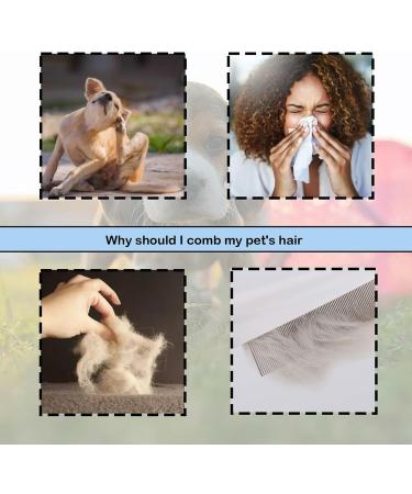 Flea Comb for Dogs 2-piece Set of Dog Fine Toothed Flea Comb Flea Comb for Cats Dogs Lice Combs Fine Tooth Comb Grooming Suitable for Removing Tears Stains from Dogs Fleas Lice - Buy Online on SooperMarket.com