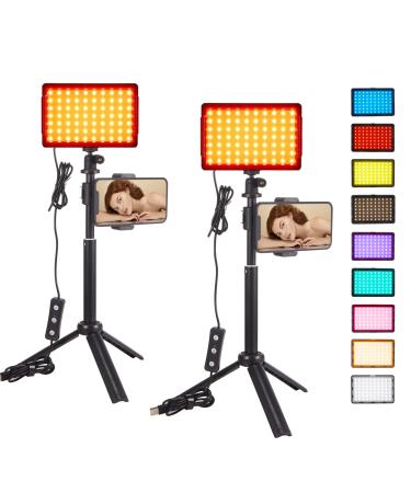 SWDPORT 2-Pack Studio LED Video Light Streaming Lights Computer Light Camera Webcam Photo Lighting with Tripod Stand 9 Color Filters for Video Recording Filming Photography Video Conferencing Zoom 2PC