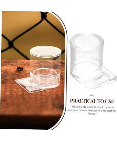 ORFOFE Pet Water Feeder Ant Waterer Ant Feeder Station Ant Bottle Feeder Ant Water Drinking Cup Plastic - Buy Online on SooperMarket.com