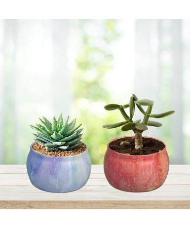 Fragrance Candles Gift Set - 8 Pack Soy Wax Aromatherapy Candles for Stress Relief | Perfect Christmas Birthday & Mother's Day Gift | Decorative Starry Sky Design - Buy Online on SooperMarket.com