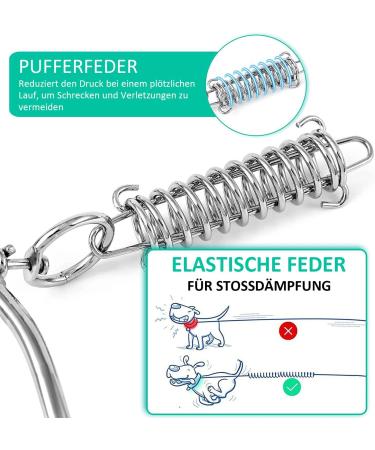 Dog Endanger Posts with Spring - Durable Ground Anchors for Large Dogs Training & Camping 1 Pack - Buy Online on SooperMarket.com