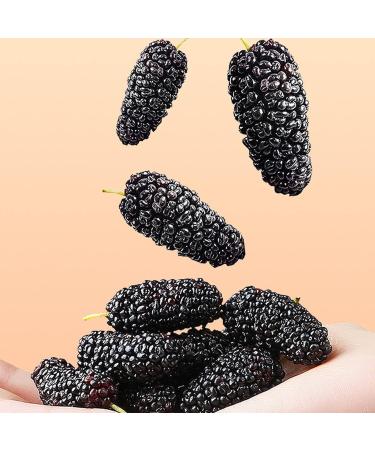 Dried 13 9 9 Dried Mulberries Canned Berries Fruit Wash Non Care Foods - Buy Online on SooperMarket.com