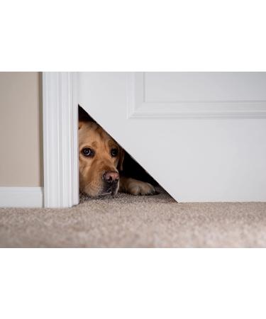 Kitty Korner Door DIY Install - Left Swing Kit | Easy Interior Cat Door Installation | Create Safe Space for Cat - Buy Online on SooperMarket.com