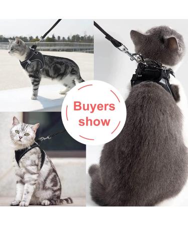 Escape Proof Cat Harness Set with Lead for Cats - XS Size - Buy Online on SooperMarket.com