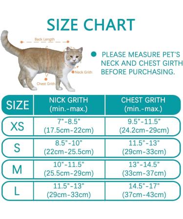 Premium Cat Dishes with Leash | Reflective Cat Patrol Gear for Safe Adventures - Buy Online on SooperMarket.com