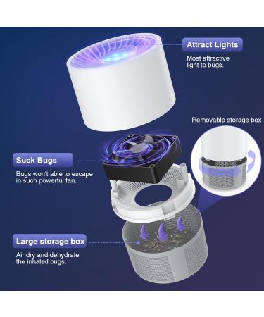 Buy YZ-Hui-B2 UV Mosquito Lamp & Insect Destroyer - Portable USB Fly Trap for Home & Camping - Effective Mosquito Protection - Buy Online on SooperMarket.com