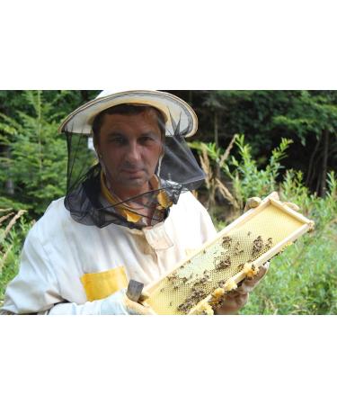 Pure Linden Honeydew Honey - 500g | Raw & Natural | Ethically Harvested | Boosts Vitality and Immunity | Sustainable Packaging - Buy Online on SooperMarket.com