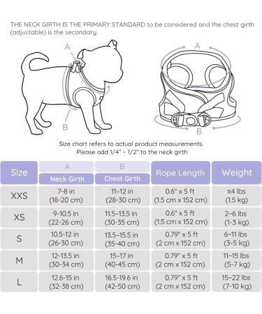 Bella & Pal Small Dog Harness with Leash - Air Mesh Reflective Breathable for Puppies & Cats - Lavender (S S 35-40cm) - Buy Online on SooperMarket.com