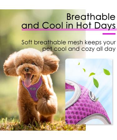 Thinkpet No-Pull Dog Harness - Breathable Adjustable Safety Harness for Small Medium & Large Dogs - Soft Reflective Padded - Purple (1 Pack) - Buy Online on SooperMarket.com