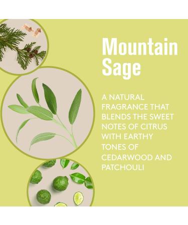 Barrel and Oak Men's Body Care Set - Mountain Sage Scented Variety Pack | Essential Oil-Based Cedar & Patchouli Blend | Bar Soap, Body Wash, Deodorant | 3-Pack - Buy Online on SooperMarket.com