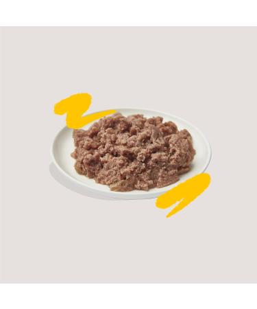 Edgard & Cooper Organic Grain-Free Wet Cat Food - Turkey & Chicken 85g x 16 Packs - Balanced Adult Nutrition - Buy Online on SooperMarket.com