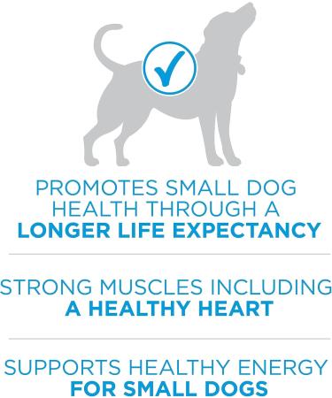 Purina ONE +Plus Small Breed Dry Dog Food with Beef - 1.81 kg Bag & Classic Ground True Instinct Wet Dog Food Variety Pack 2 Flavours - 368 g Can (6 Pack) - Buy Online on SooperMarket.com
