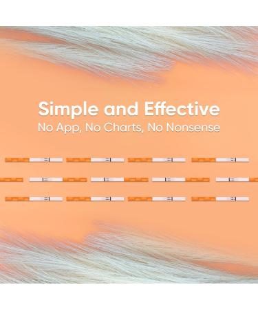 Wondfo Pregnancy Test Strips - 50 Pack Rapid Result Pregnancy Test Highly Sensitive Fast Home Self-checking Clear HCG Results Pregnancy Test Kit 1 count (Pack of 50) - Buy Online on SooperMarket.com