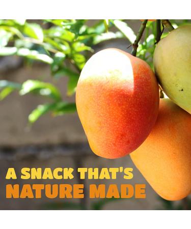 Dried Mango Slices - Soft, Juicy, Low Sugar, Gluten-Free, Natural Source of Vitamin C & Fiber (8 oz. x 6 Pack) - Buy Online on SooperMarket.com