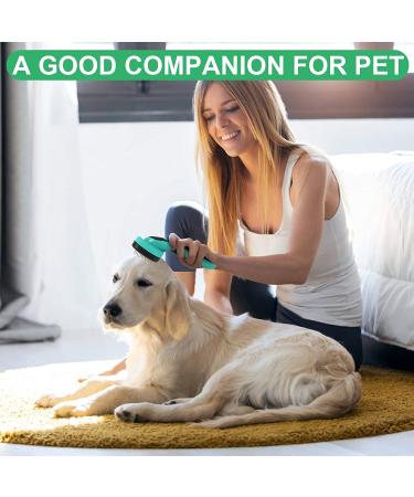 Self Cleaning Slicker Brush for Pets - Remove Loose Hair, Fur, Mats, and Tangled Hair - Ideal for Dogs, Cats, and Rabbits - Aqua Green - Buy Online on SooperMarket.com