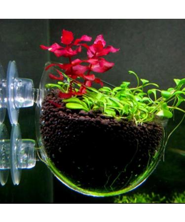 Delamiya 4-Piece Aquarium Plant Pots - Decorative Crystal Glass & Suction Cups for Lively Aquatic Displays - Buy Online on SooperMarket.com