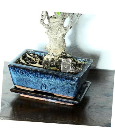 BESPORTBLE 3pcs Pet Water Feeder Small Ants Feeder Ants Water Feeding Ants Farm Accessory Insect Feeder Plastic - Buy Online on SooperMarket.com